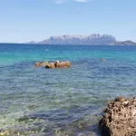 On Sardinia 奧爾比亞