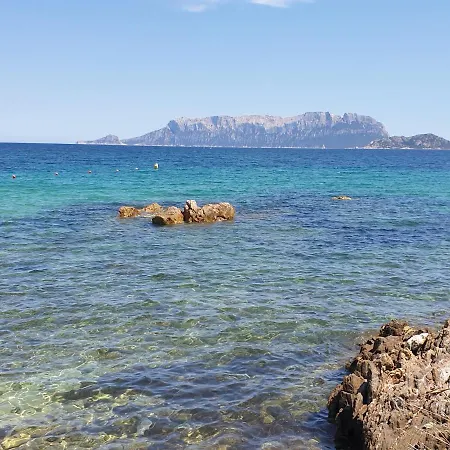On Sardinia أولبيا