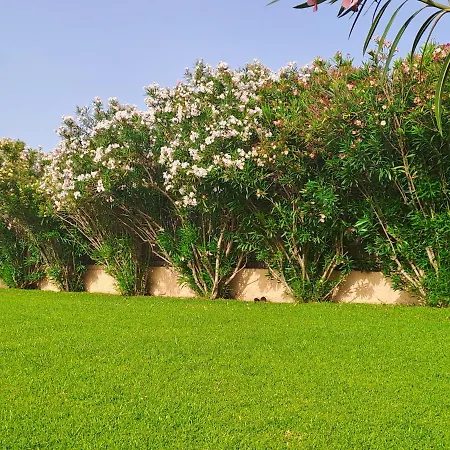 Apartamento On Sardinia *