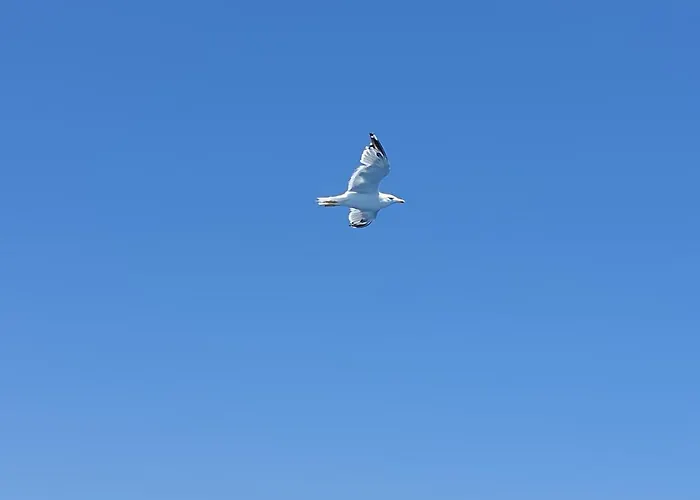 Apartamento On Sardinia Olbia